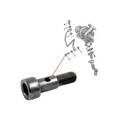Citroen Peugeot 1.6 Hdi turbo connector screw (long)