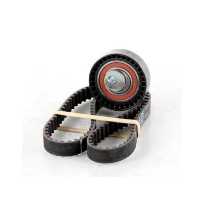 Timing kit Dacia Dokker Logdy Logan Sandero Renault Kangoo