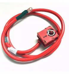 Câble de batterie pour BMW Série 5 E60