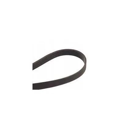 Courroie d'accessoire 6PK698