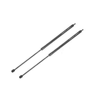 2 Verins de capot Renault Megane 3