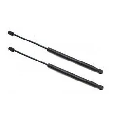 2 Vérins de coffre pour Peugeot 607