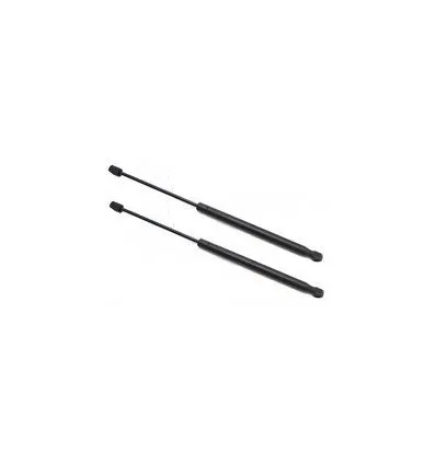 2 Vérins de coffre pour Peugeot 607