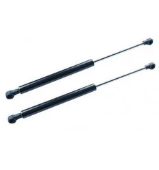 2 Vérins de coffre pour BMW Série 3 Compact E36