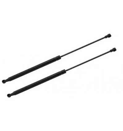 Renault Laguna 3 trunk cylinders