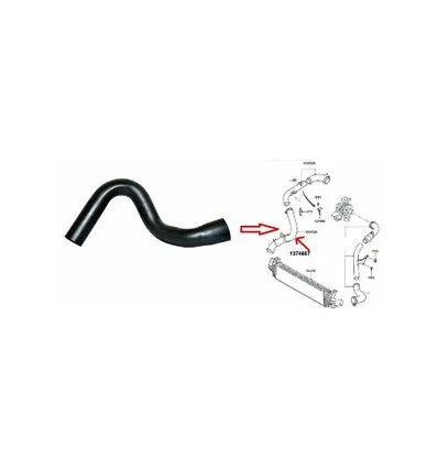 Durite de turbo pour Ford Focus 1.8 TdCi