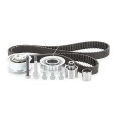 Kit de distribution pour Audi Seat Škoda Volkswagen 1.6 2.0 tDi