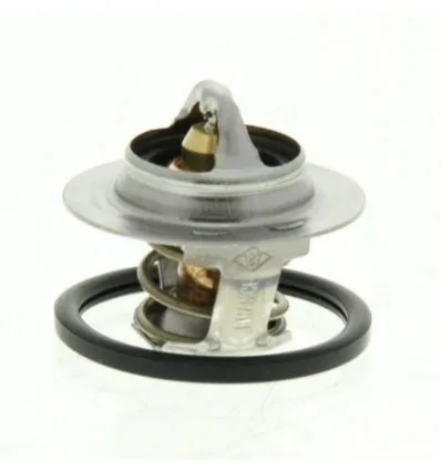 Thermostat Dacia Logan Sandero Renault Clio Kangoo Laguna Megane Scenic Trafic