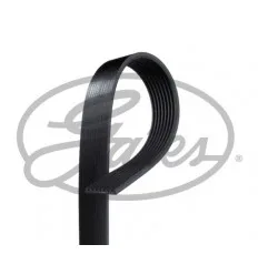 Courroie d'accessoire 8PK2485