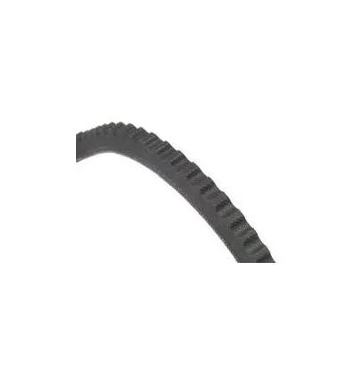Courroie d'accessoire G6219MC