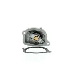 Thermostat punto