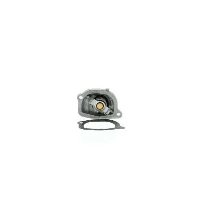Thermostat punto