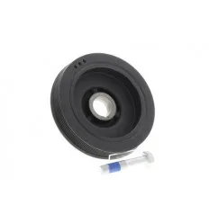 Poulie damper pour Citroën Fiat Lancia Peugeot 1.9 D 2.0 HDi 2.2 HDi 2.0 JTD 2.2 JTD