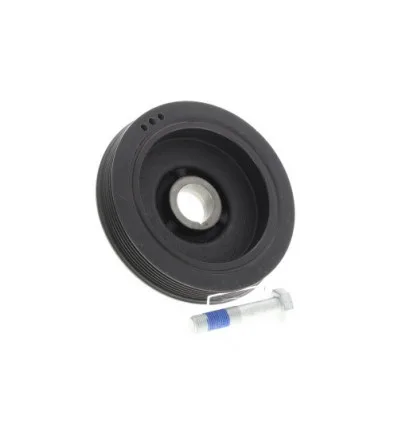 Poulie damper pour Citroën Fiat Lancia Peugeot 1.9 D 2.0 HDi 2.2 HDi 2.0 JTD 2.2 JTD