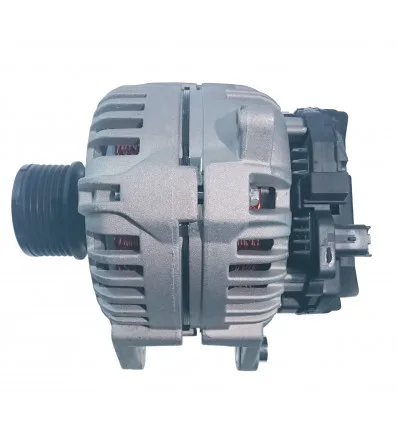 Kangoo alternator