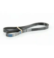 courroie accessoire 