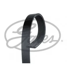 Courroie trapézoïdale à nervures 6PK860