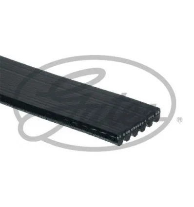 Courroie trapézoïdale à nervures 6PK860