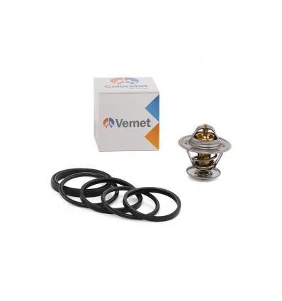 Thermostat Seat Skoda VW Ford