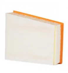 Filtre à air pour Renault