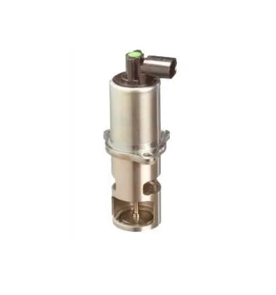 Vanne EGR Pour pour Renault Opel 1.9 dTi dCi 7.22818.57.0