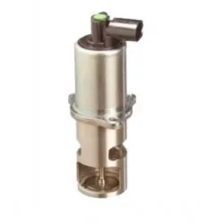 Vanne EGR Pour pour Renault Mégane Scénic 2 1.9 dCi 120cv