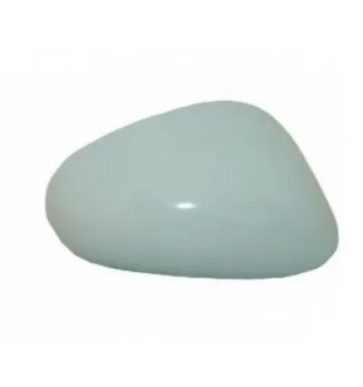 Coque de rétroviseur droit pour Seat Leon 2