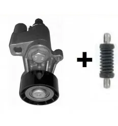 Galet tendeur Courroie avec Ressort pour Citroën Xsara Zx Citroën Berlingo Evasion Peugeot Peugeot 206 306 406 806 D TD