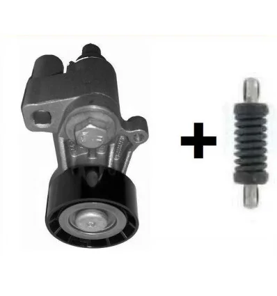 Galet tendeur Courroie avec Ressort pour Citroën Xsara Zx Citroën Berlingo Evasion Peugeot Peugeot 206 306 406 806 D TD