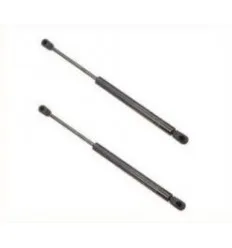 Lot de 2 Verins de coffre Peugeot 405 Break