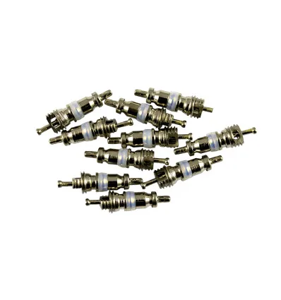 Kit di 10 valvole per rif. 53599 - 5x19 mm r12