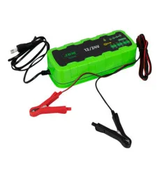 Chargeur de batterie 12/24V