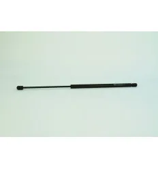 Lot de 2 vérins pour Ford Focus C max