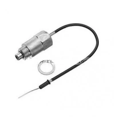 Sonde de ralenti accéléré Diesel Peugeot Renault Opel Fiat