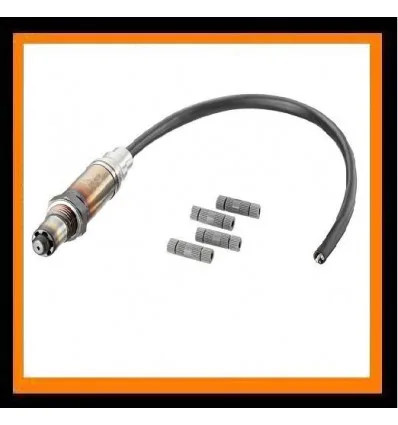 Universal 2-wire Lambda probe