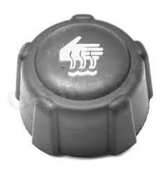 Bouchon vase d'expansion pour Renault Clio 2 Renault Kangoo Mégane 2 Renault Scénic 2 Trafic 2 Renault Espace 4