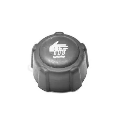 Expansion tank cap Clio 2 Kangoo Megane 2 Scenic 2 Trafic 2 Espace 4