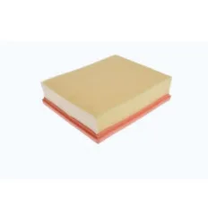 Air filter RENAULT Clio 2 V6 Espace IV Laguna II VelSatis 1.9Dci 2.2 Dci 3.5i 3.0Dci