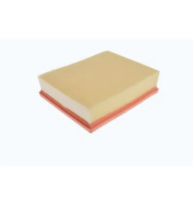Air filter RENAULT Clio 2 V6 Espace IV Laguna II VelSatis 1.9Dci 2.2 Dci 3.5i 3.0Dci