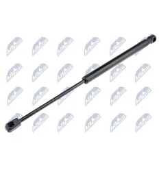 Tailgate gas strut for Audi