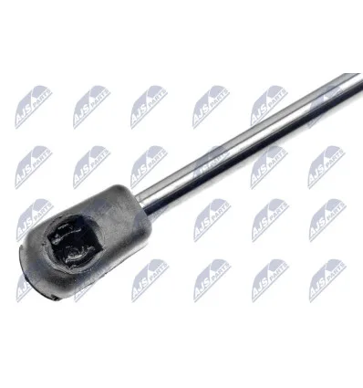 Tailgate gas strut for Bmw