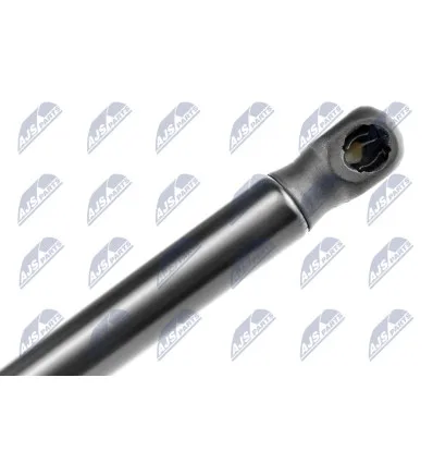 Tailgate gas strut for Bmw