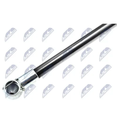 Tailgate gas strut for Bmw