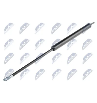 Tailgate gas strut for Bmw