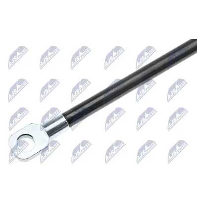 Tailgate gas strut for Bmw