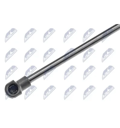 Tailgate gas strut for Bmw