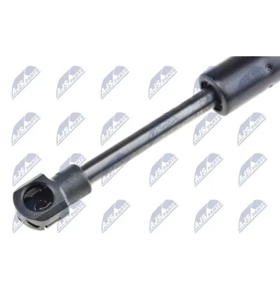 Tailgate gas strut for Bmw