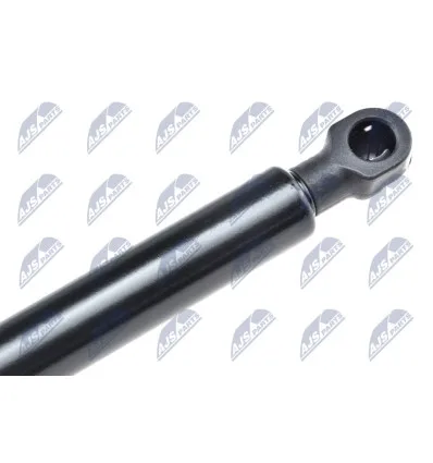 Tailgate gas strut for Bmw