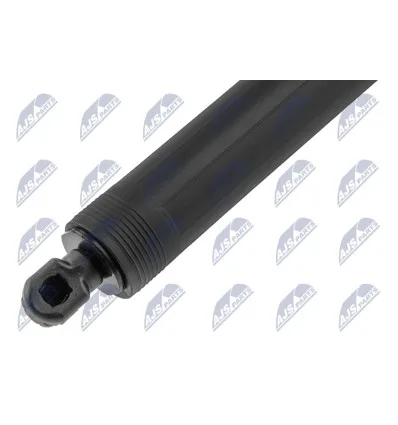 Tailgate gas strut for Bmw
