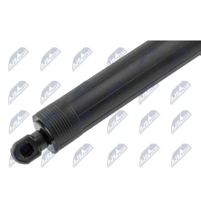 Tailgate gas strut for Bmw